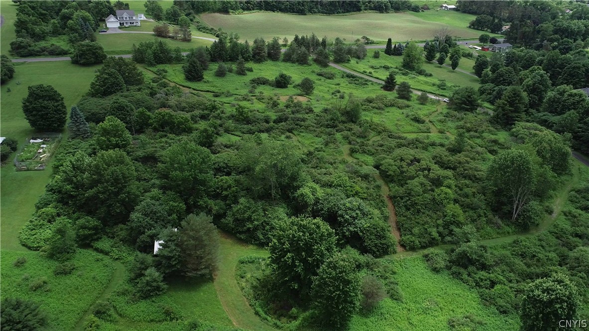 10-acres Pompey Center Road Fabius, NY 13063 - Photo 2 of 17
