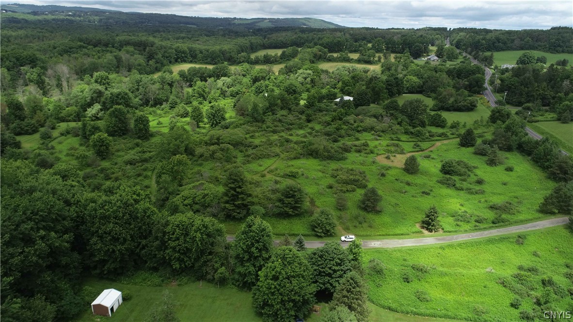 10-acres Pompey Center Road Fabius, NY 13063 - Photo 3 of 17