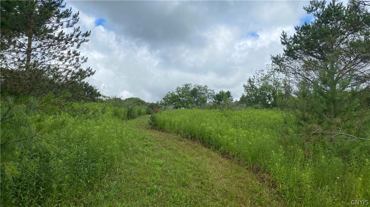10-acres Pompey Center Road Fabius, NY 13063 - Photo 8 of 17
