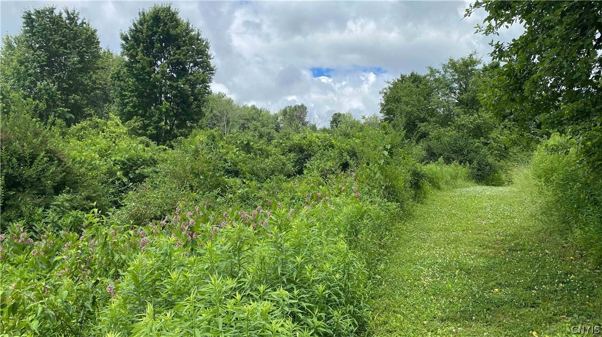10-acres Pompey Center Road Fabius, NY 13063 - Photo 9 of 17