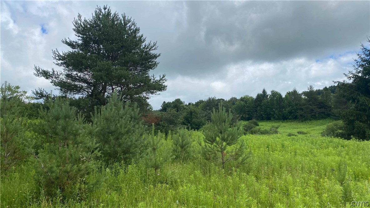 10-acres Pompey Center Road Fabius, NY 13063 - Photo 10 of 17