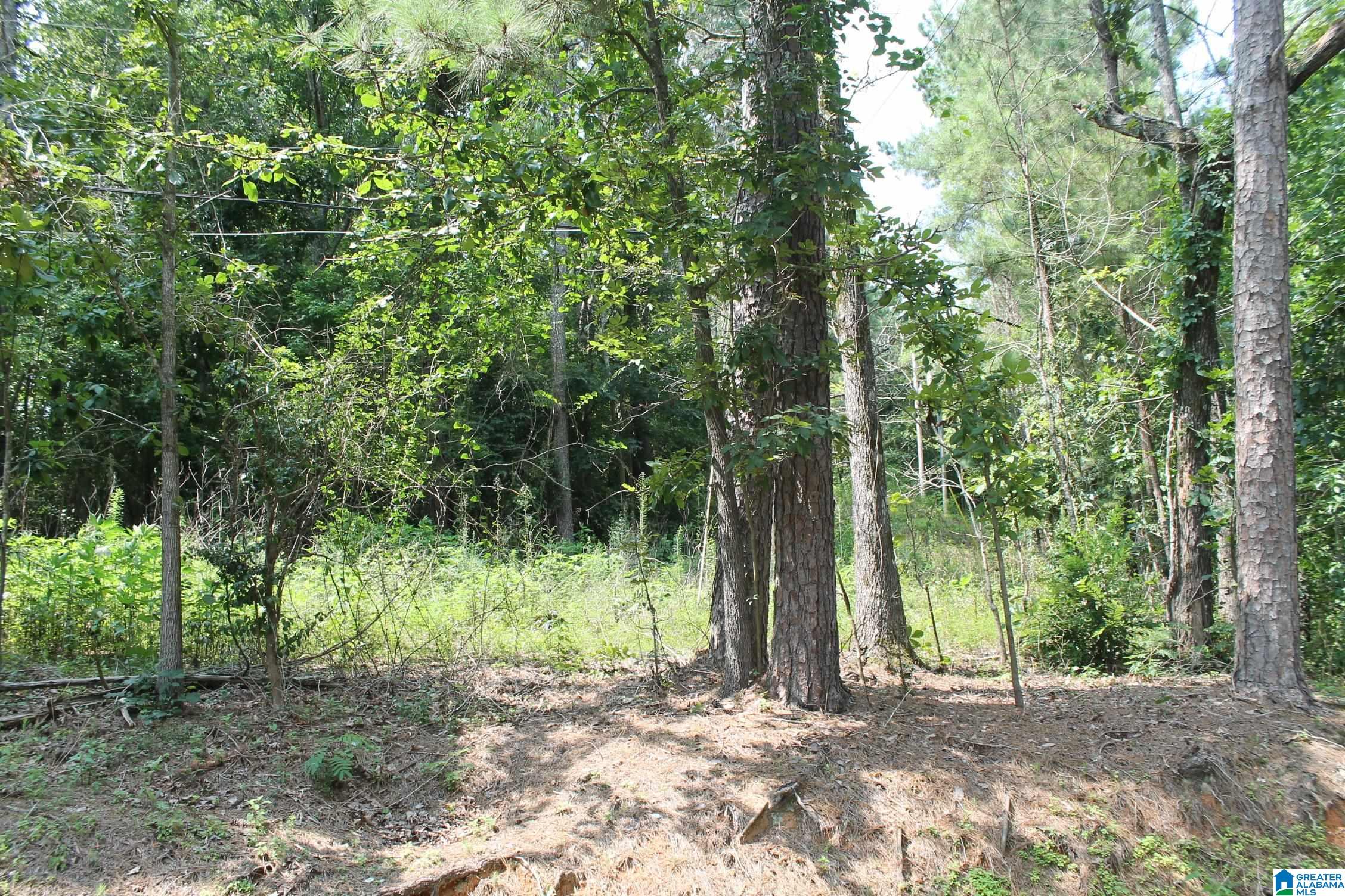 8086 Cavern Road, Unit 2 Trussville, AL 35173 - Photo 2 of 4