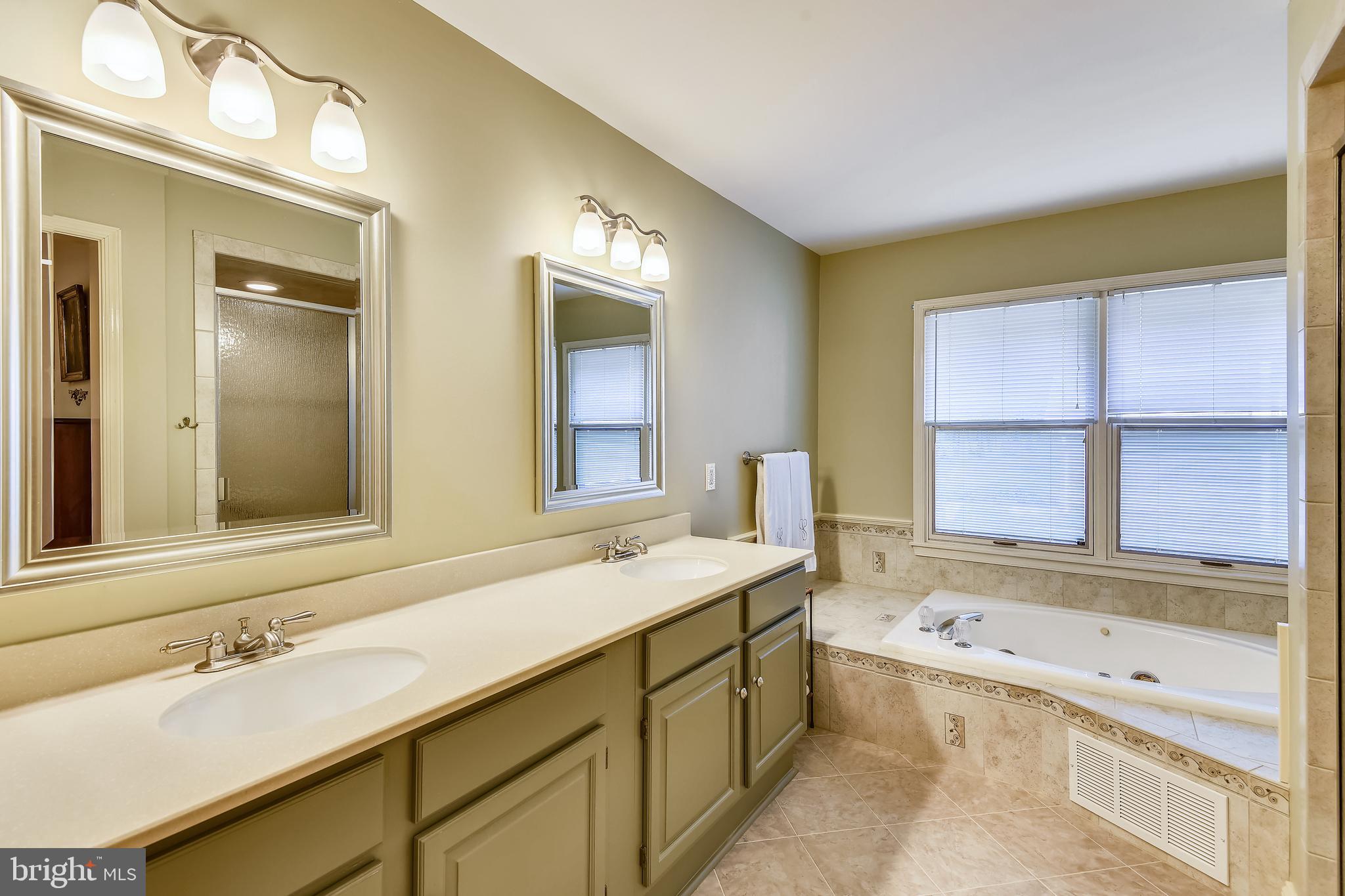 970 South River Landing Road Edgewater, MD 21037 - Photo 25 of 44 a bathroom with a tub sink and mirror