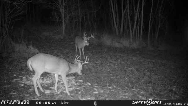 75-ac Bardstown Road Lawrenceburg, KY 40342 - Photo 12 of 15 image010