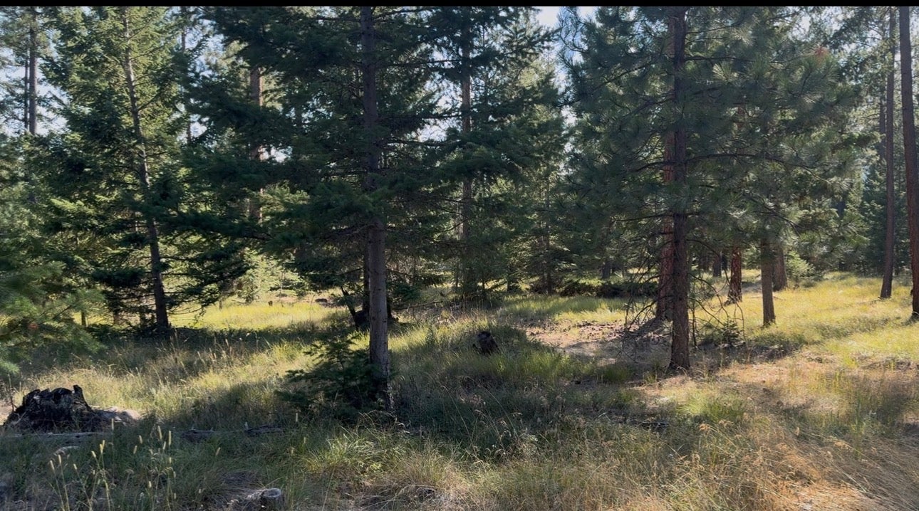 21278 White Tail Ridge Road Huson, MT 59846 - Photo 26 of 33 Gallery Image 26