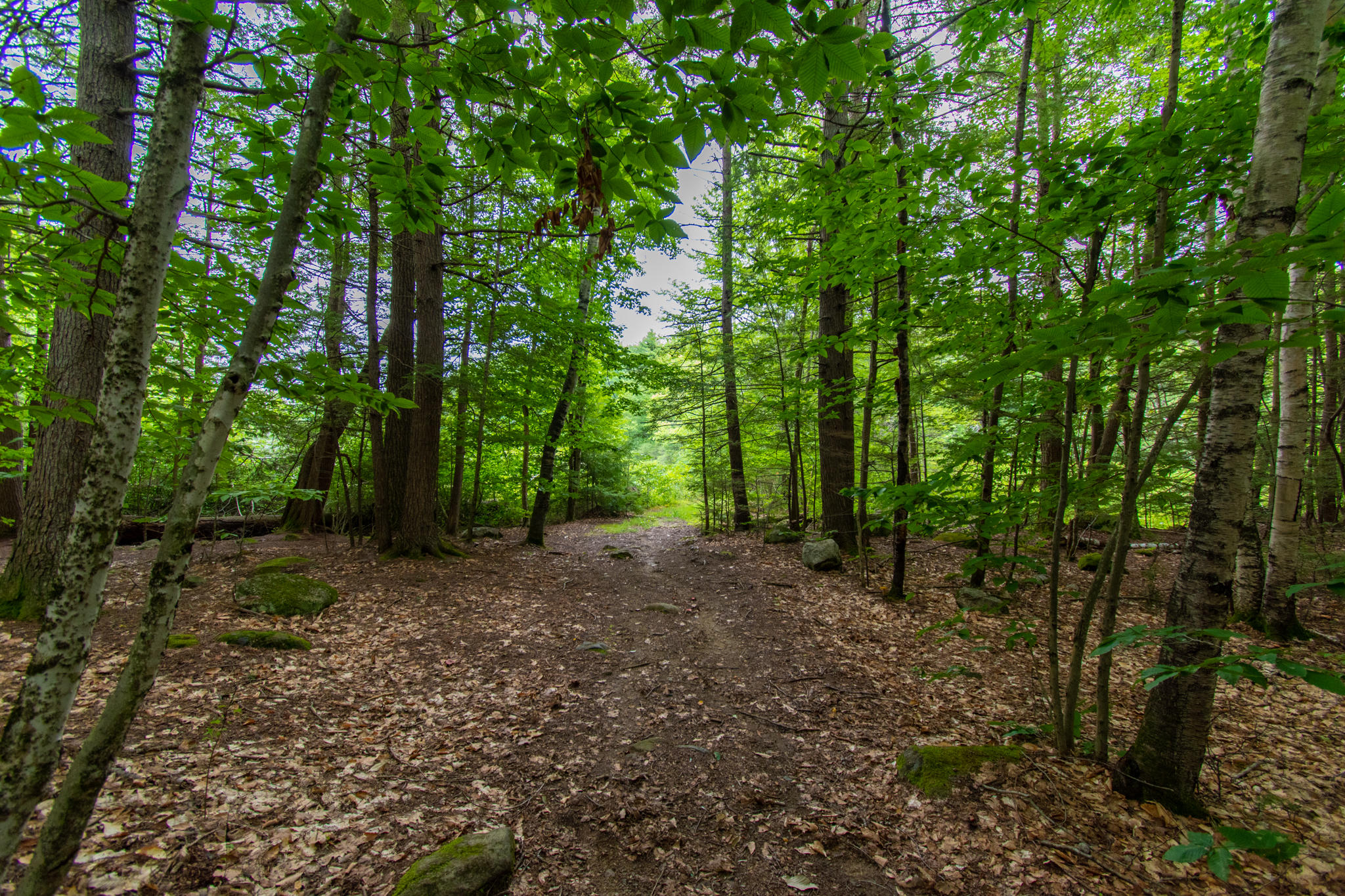 62 Ridge View Drive Standish, ME 04084 - Photo 6 of 50 62-Ridge-View-Dr-57