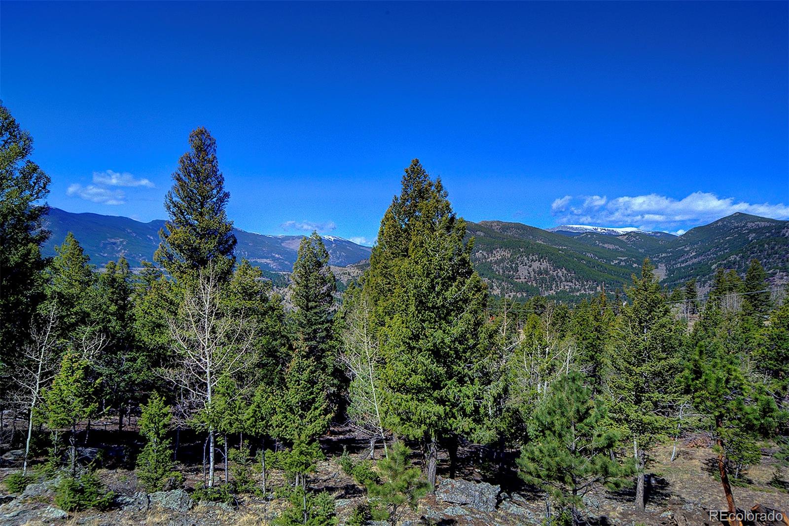 81 Fir Lane Bailey, CO 80421 - Photo 30 of 33 a view of a city with a tree in the background