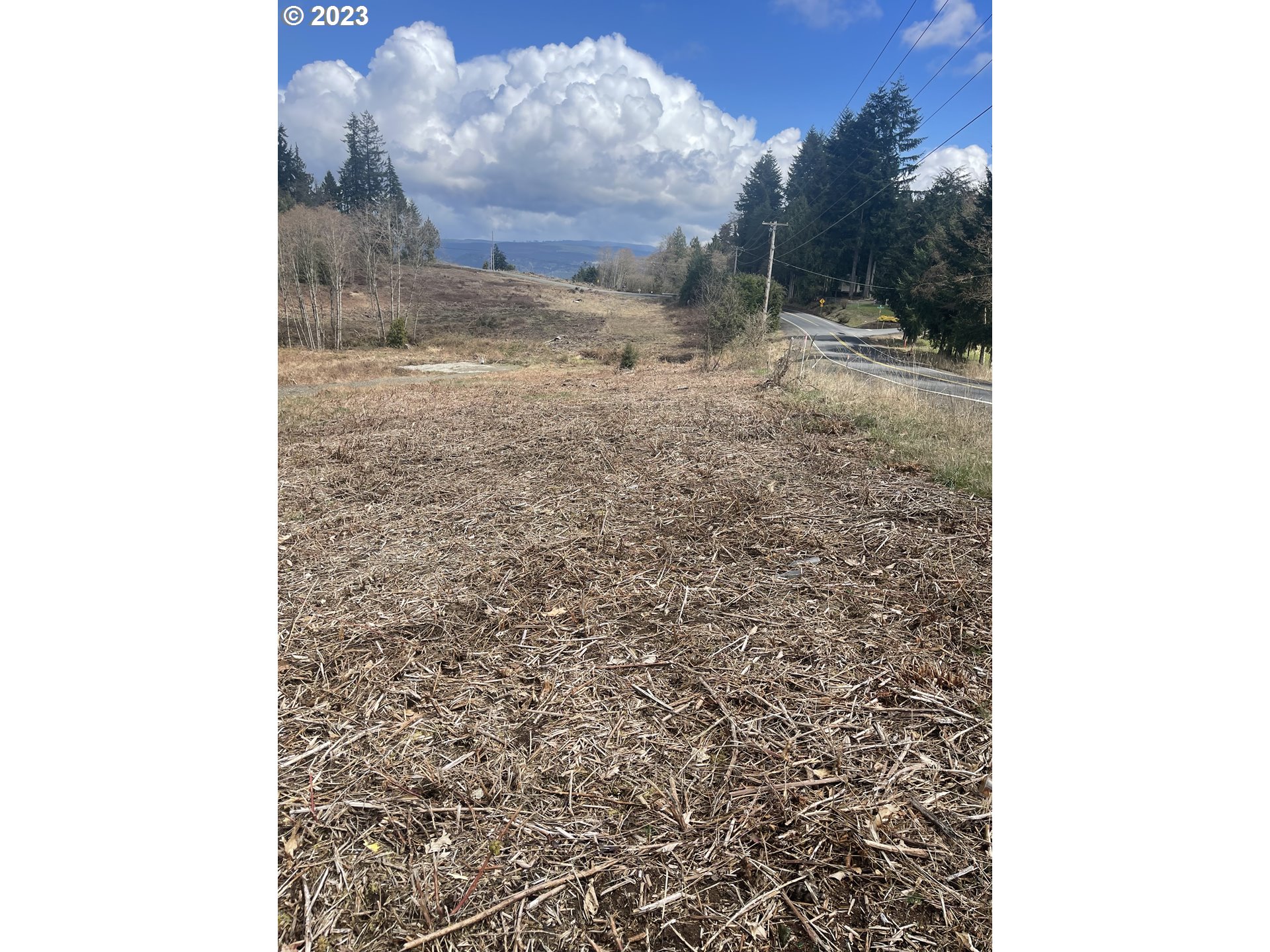 4217 Columbia Heights Road, Unit 1 Longview, WA 98632 - Photo 1 of 5 Gallery Image 1