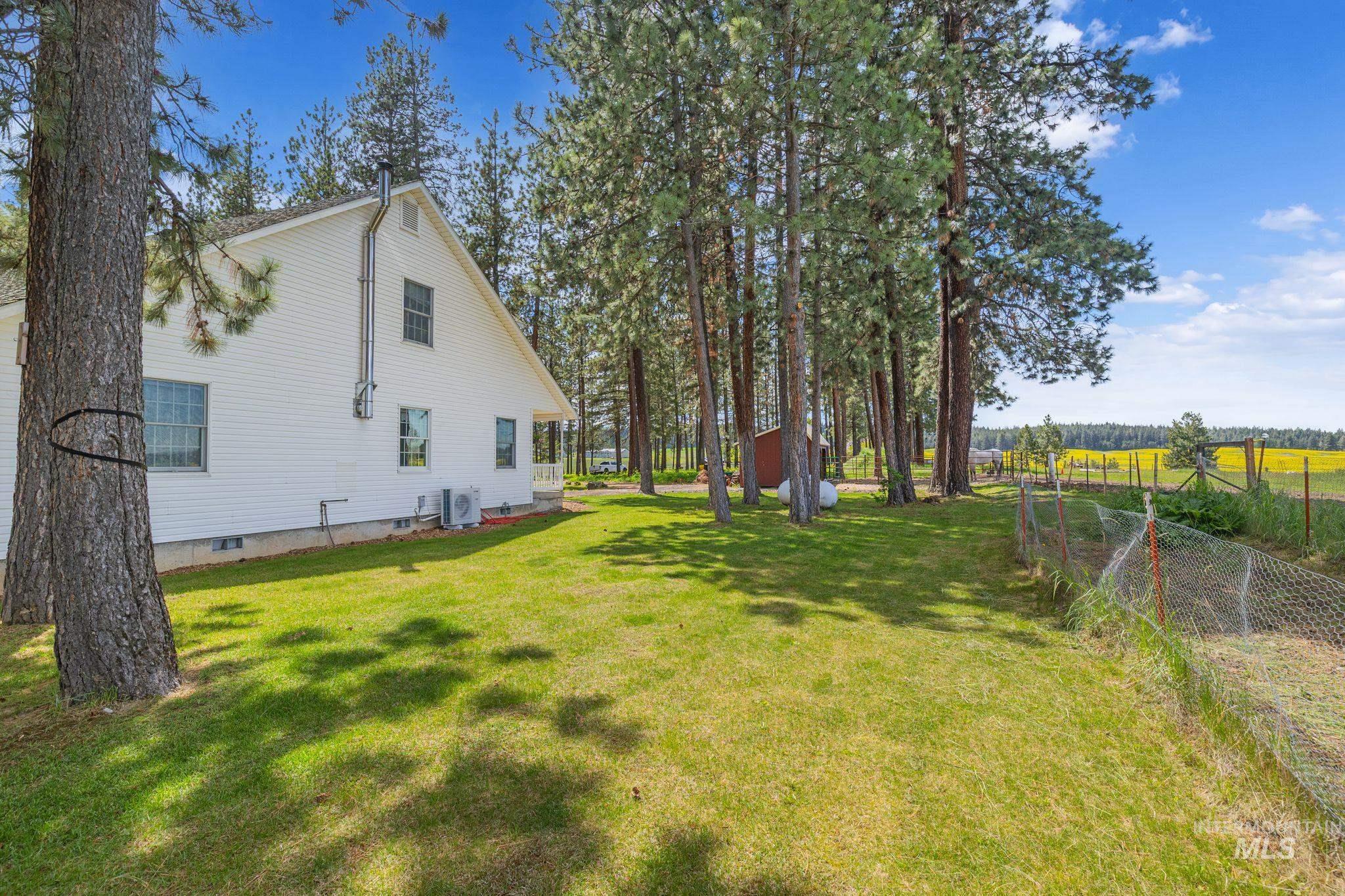 1820 Winchester Road Winchester, ID 83555 - Photo 34 of 50 Expansive green lawn with mature evergreen trees and a white-sided residence