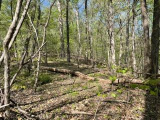 Diamond Branch Road Maryville, TN 37801 - Photo 1 of 2 Diamond Branch 5