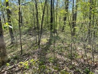 Diamond Branch Road Maryville, TN 37801 - Photo 2 of 2 Diamond Branch 6