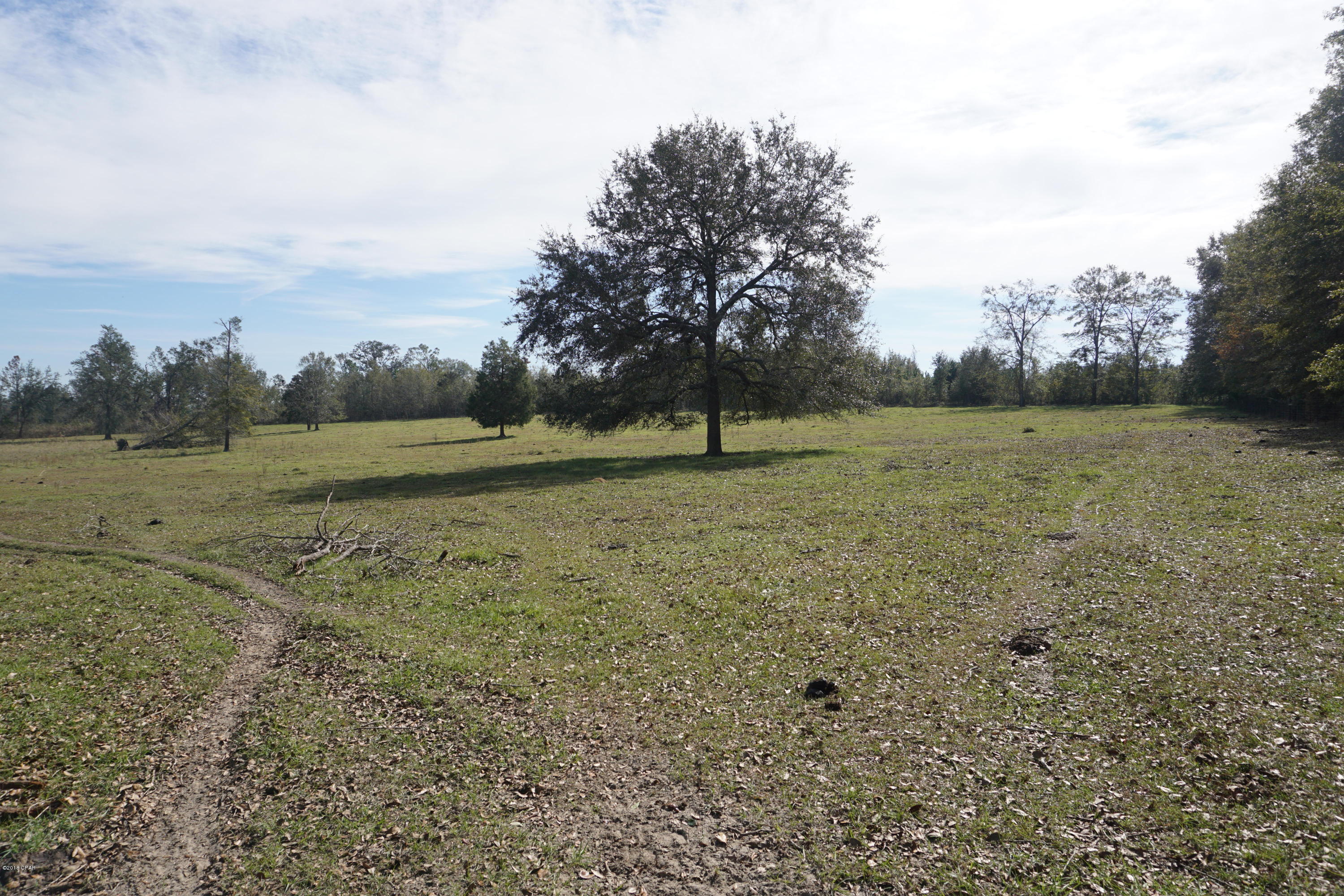 4684 Cliff Road Graceville, FL 32440 - Photo 68 of 75