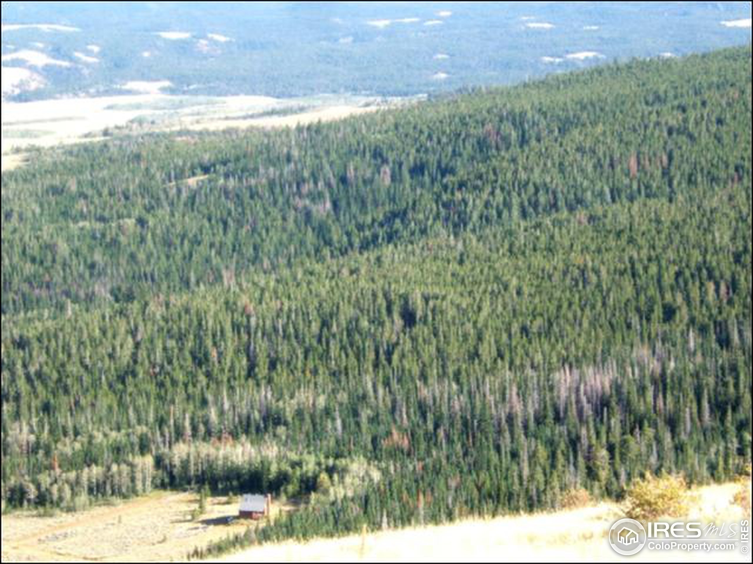 Picnic Pass Road Livermore, CO 80536 - Photo 3 of 9 Gallery Image 3