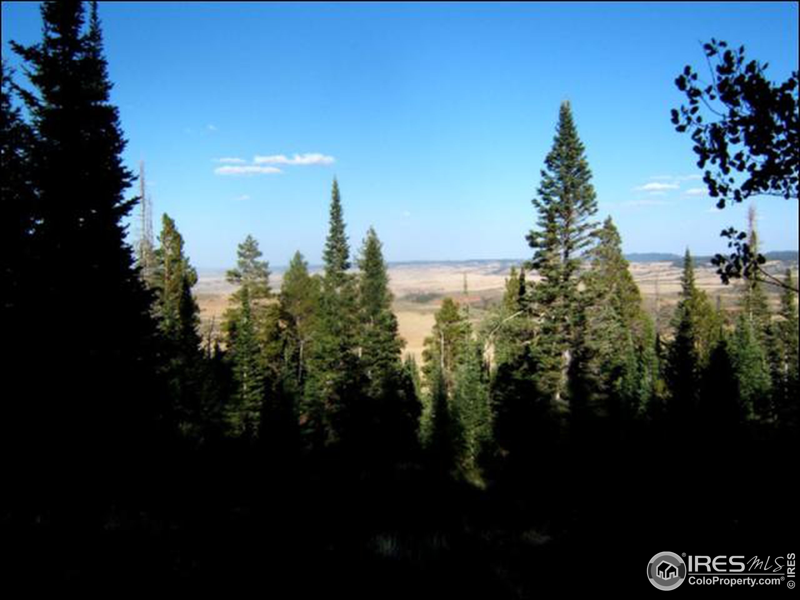 Picnic Pass Road Livermore, CO 80536 - Photo 7 of 9 Gallery Image 7
