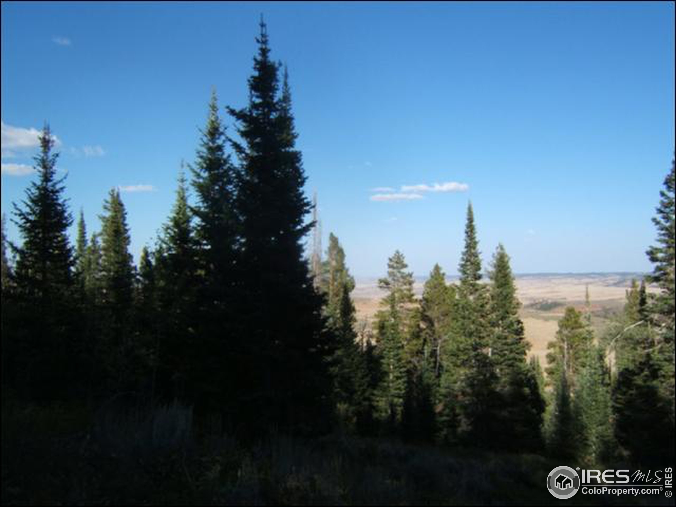 Picnic Pass Road Livermore, CO 80536 - Photo 8 of 9 Gallery Image 8
