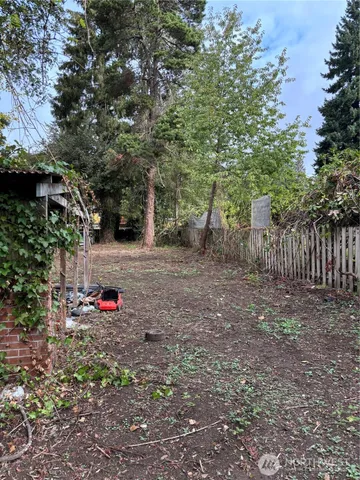 a view of a tree with a yard