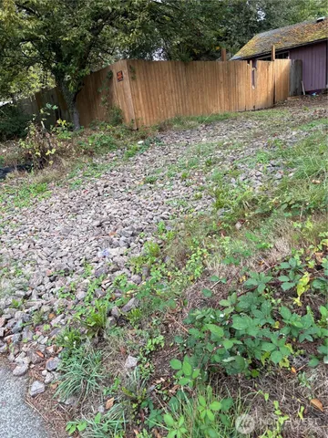 a view of backyard with small cabin