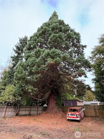 a car parked on the side of the road