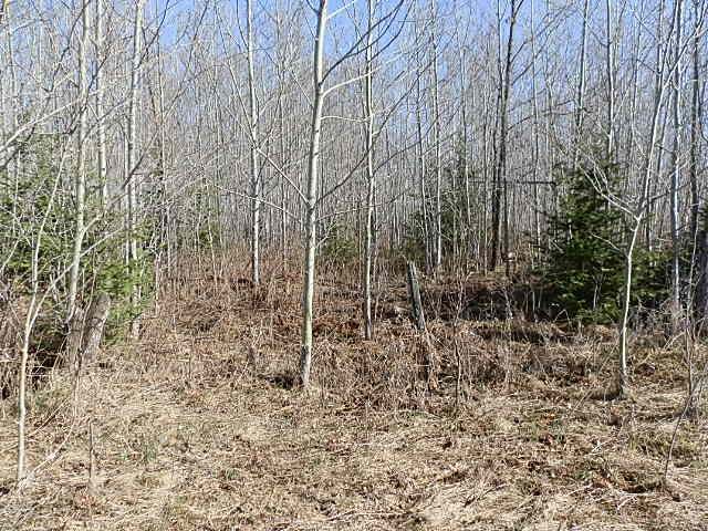 70 Fifield Wi 54524, Unit A Fifield, WI 54524 - Photo 8 of 18 Gallery Image 8