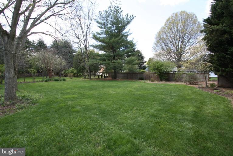 14316 Sturtevant Road Silver Spring, MD 20905 - Photo 2 of 22 Back yard