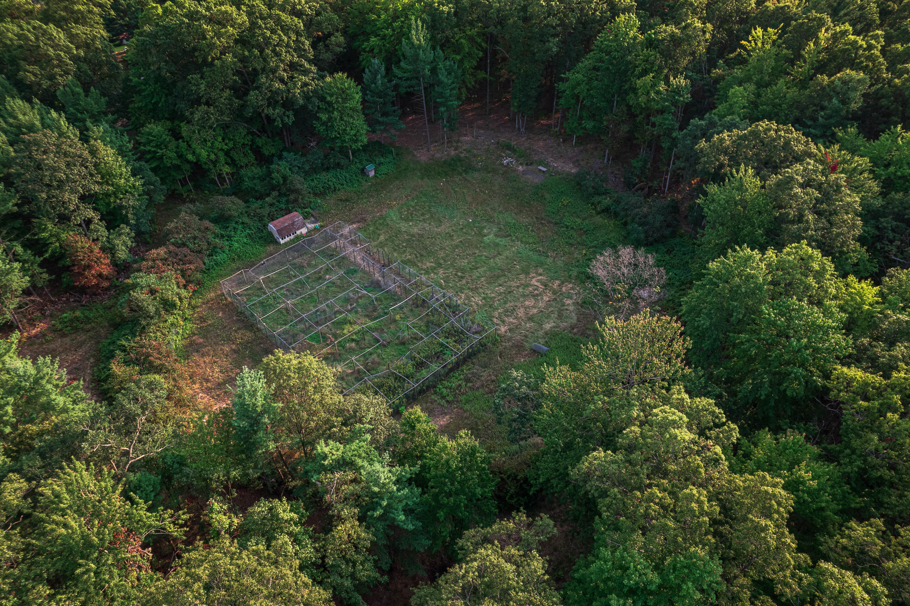 1750 Dame Road Whitehall, MI 49461 - Photo 2 of 43 DJI_0212-HDR