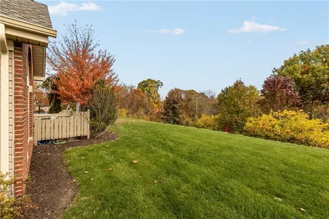 a view of a backyard with large trees