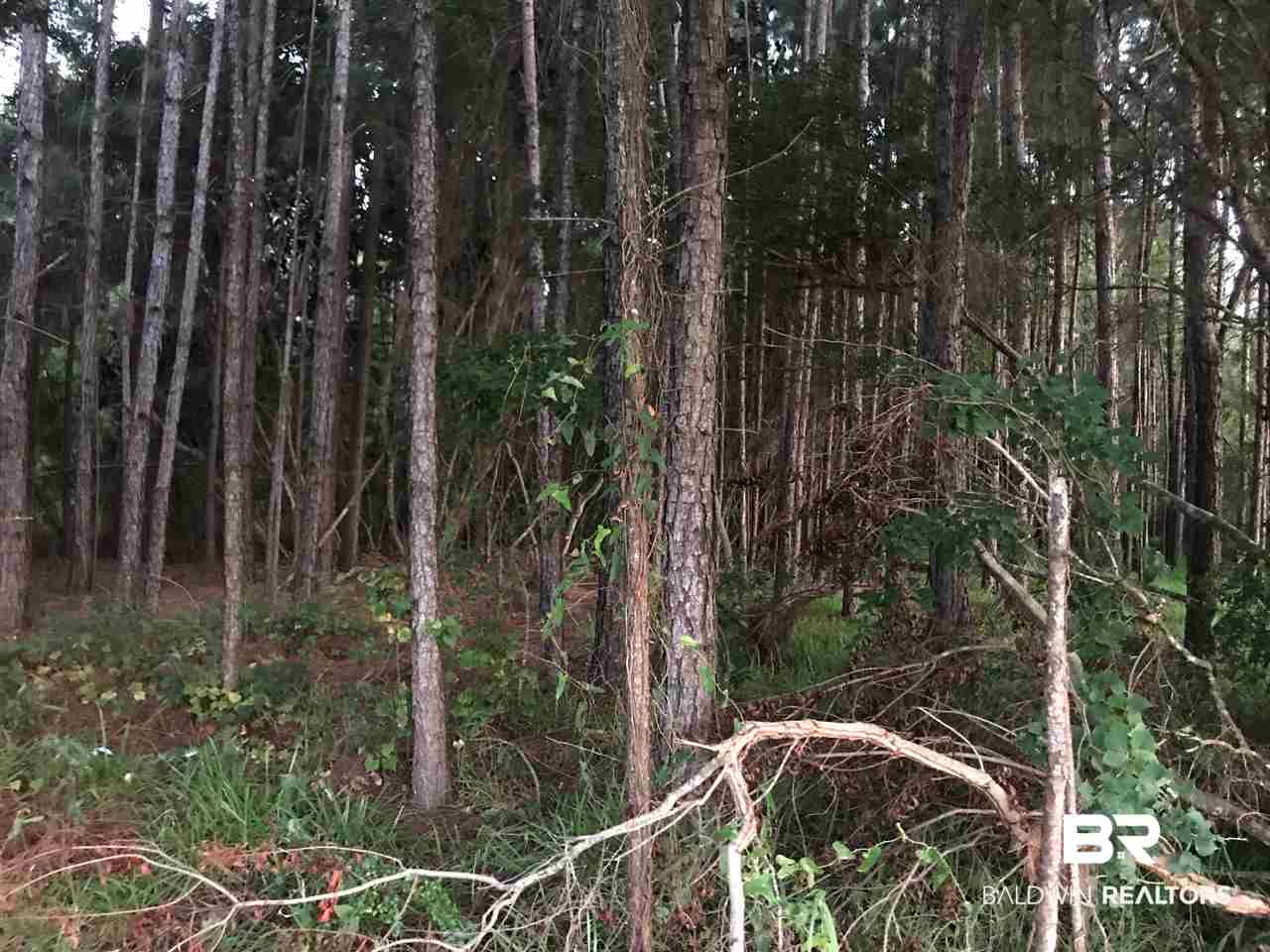 24940 Canal Road Orange Beach, AL 36561 - Photo 1 of 5