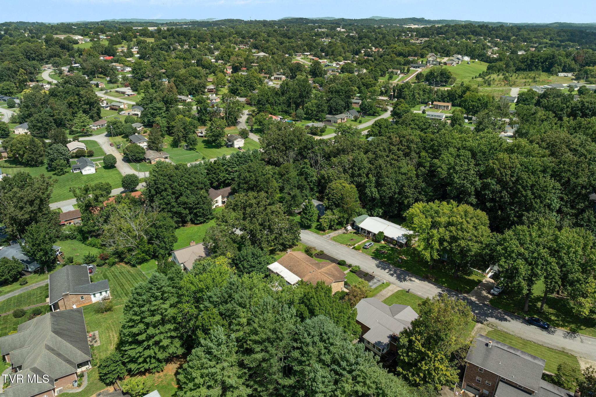1207 Rambling Court Greeneville, TN 37743 - Photo 78 of 89 DJI_0288