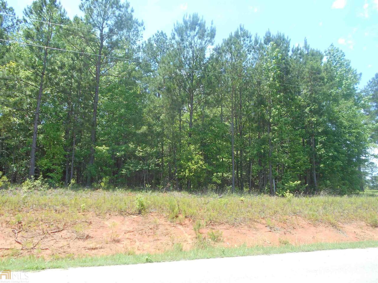 0 Reedy Creek Road, Unit B Forsyth, GA 31029 - Photo 1 of 1 Gallery Image 1