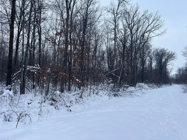 $249,900 | 12246 250th Street, Milaca, MN 56353