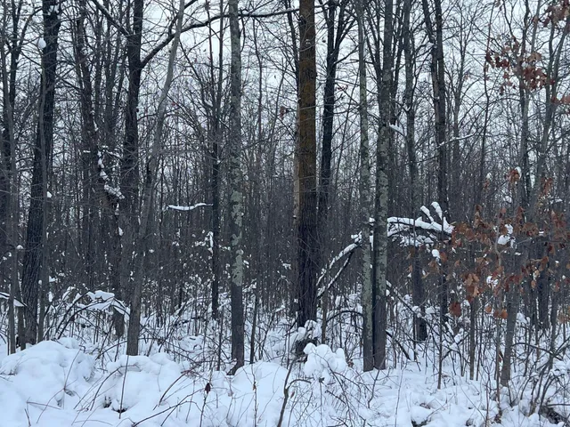 $249,900 | 12246 250th Street, Milaca, MN 56353