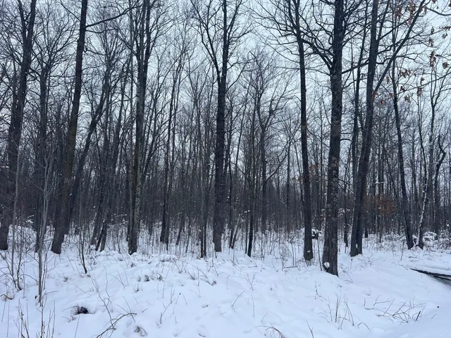 $249,900 | 12246 250th Street, Milaca, MN 56353