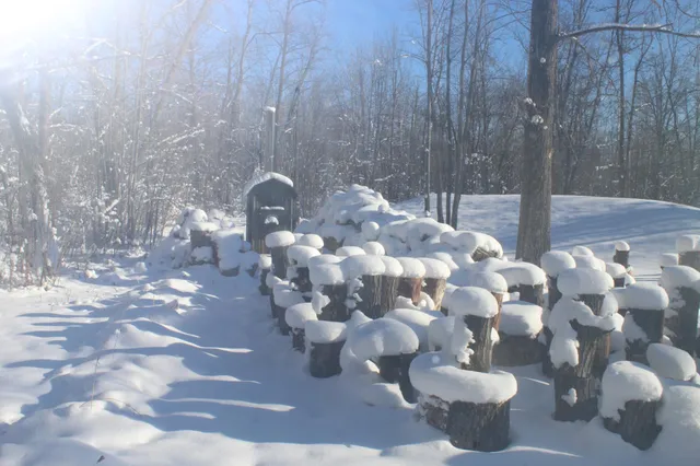 $249,900 | 12246 250th Street, Milaca, MN 56353