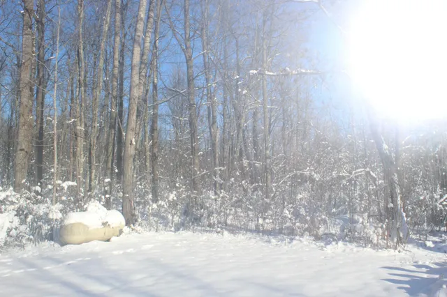 $249,900 | 12246 250th Street, Milaca, MN 56353