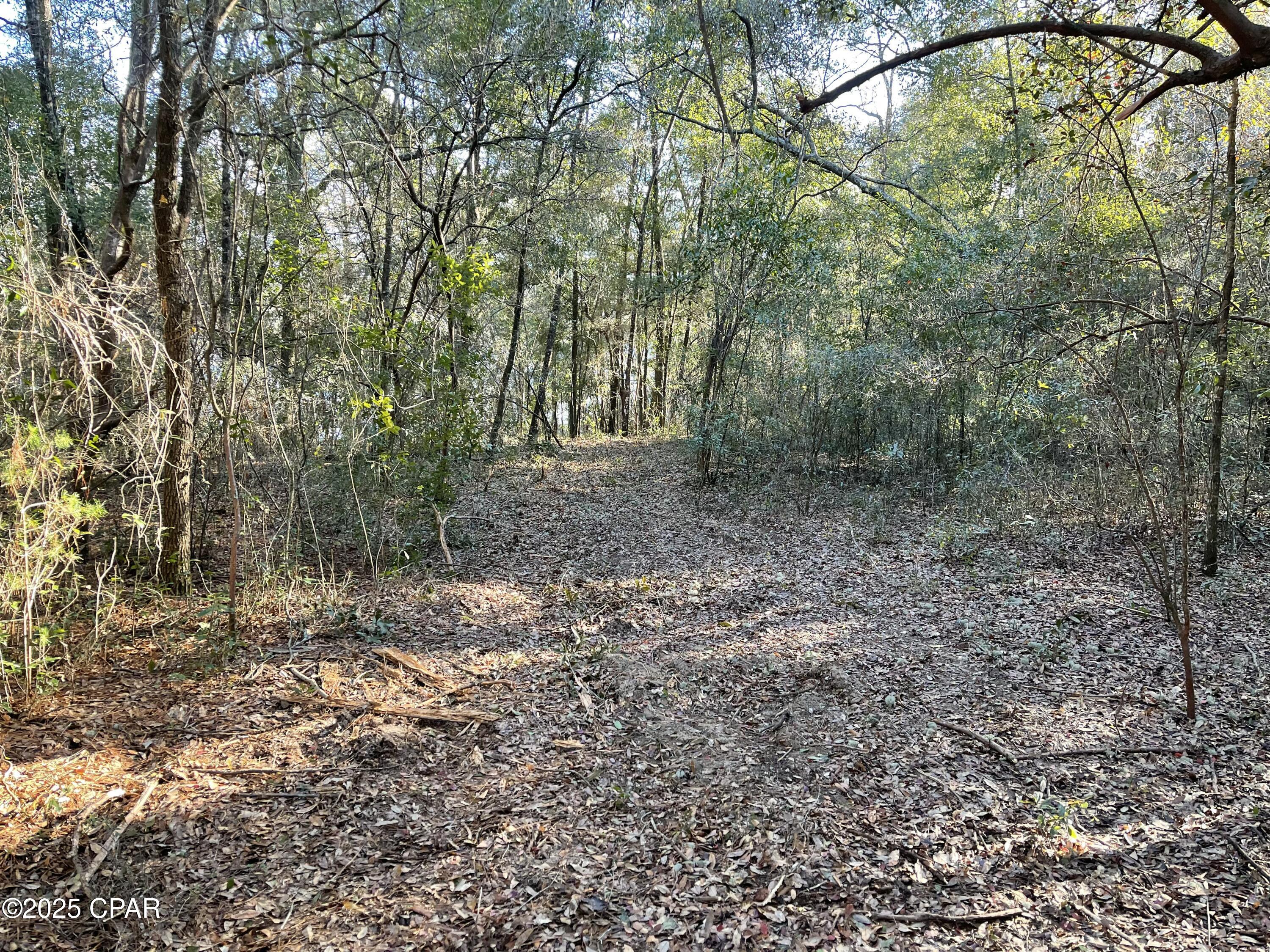 0 Bent Oaks Road Chipley, FL 32428 - Photo 18 of 21