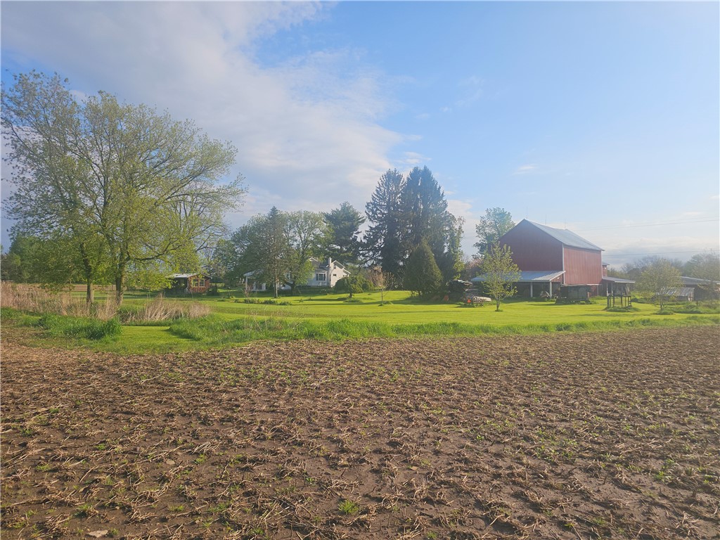 1537 Tyre ( Entire Parcel) Road Clyde, NY 14433 - Photo 8 of 39