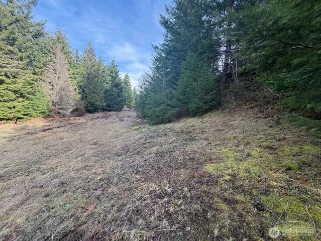 $215,000 | 115 Ridge Lane, Packwood, WA 98361