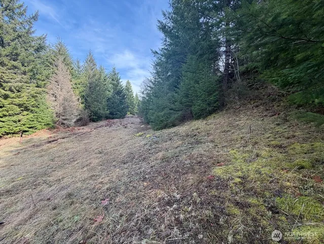 $215,000 | 115 Ridge Lane, Packwood, WA 98361