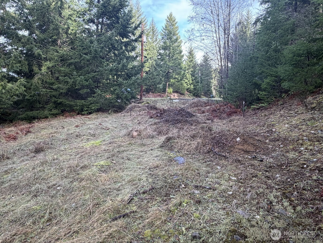 115 Ridge Lane Packwood, WA 98361 - Photo 13 of 26