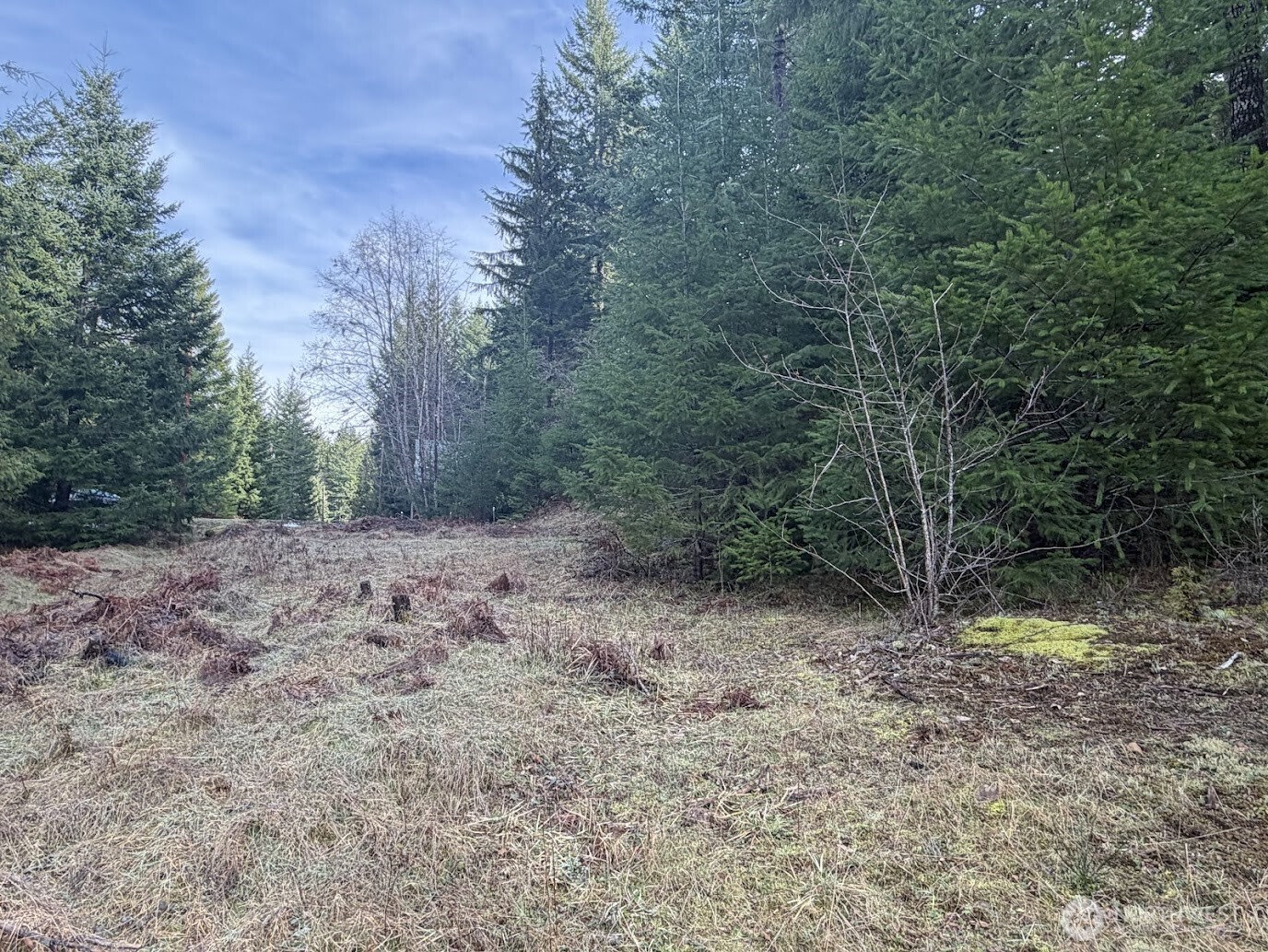 115 Ridge Lane Packwood, WA 98361 - Photo 14 of 26