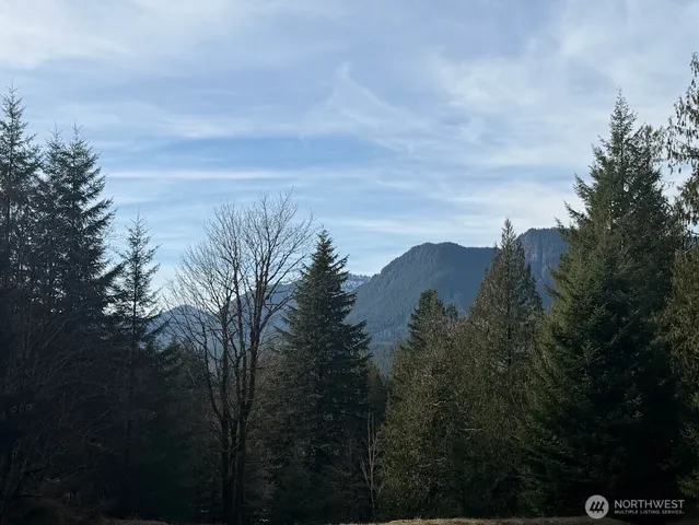 $215,000 | 115 Ridge Lane, Packwood, WA 98361