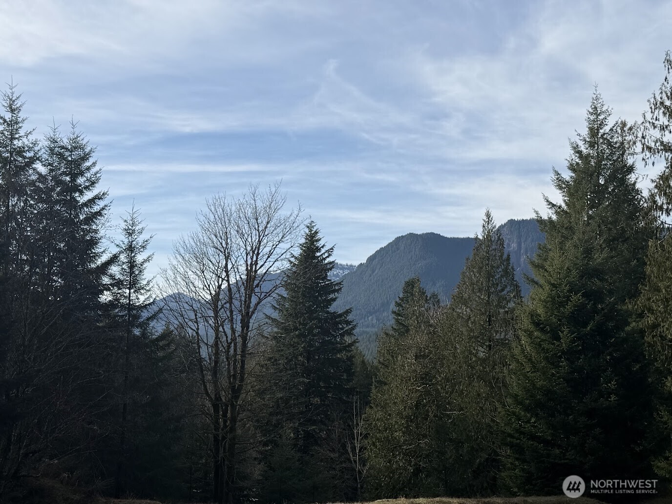 115 Ridge Lane Packwood, WA 98361 - Photo 15 of 26