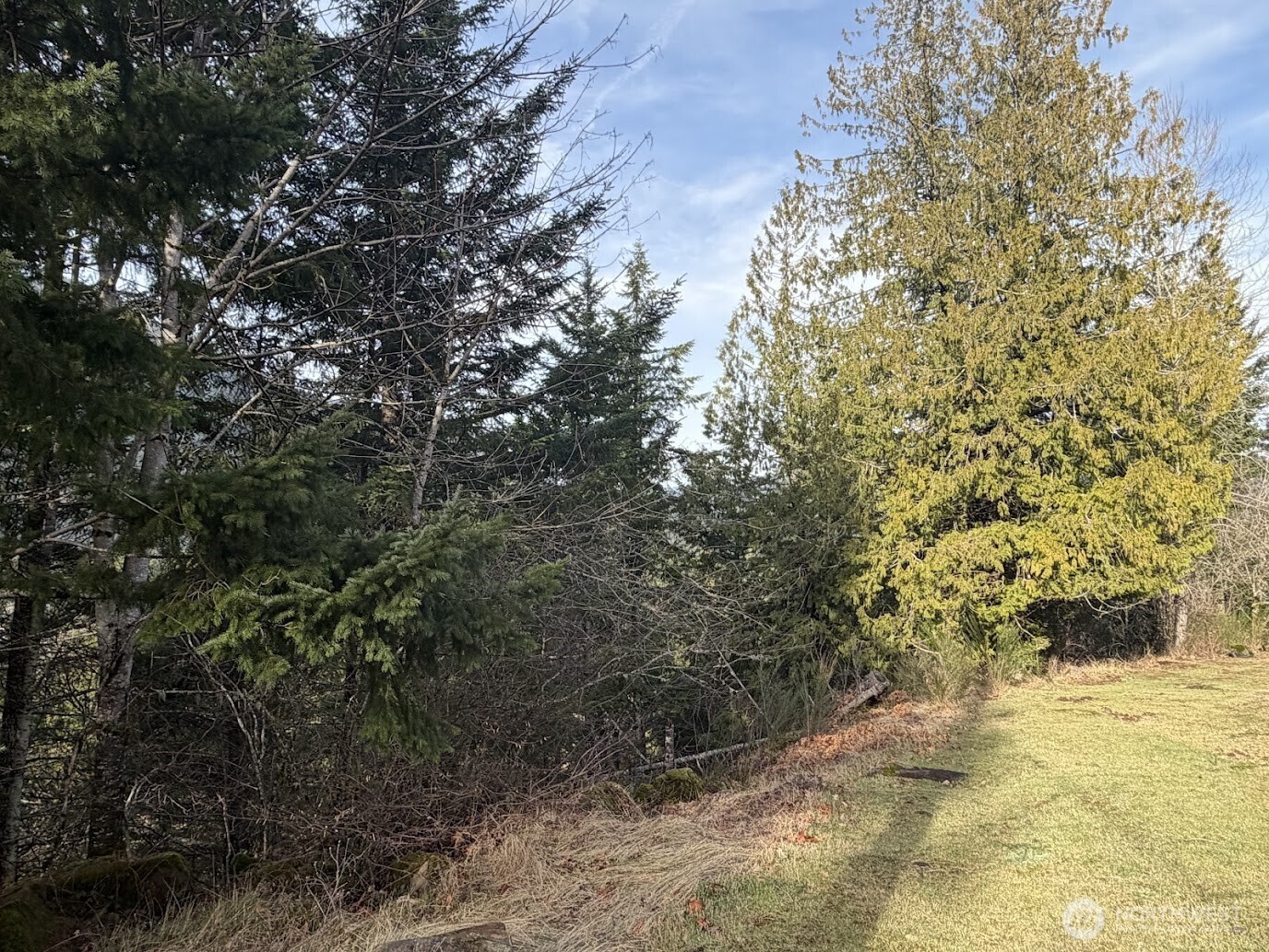 115 Ridge Lane Packwood, WA 98361 - Photo 16 of 26