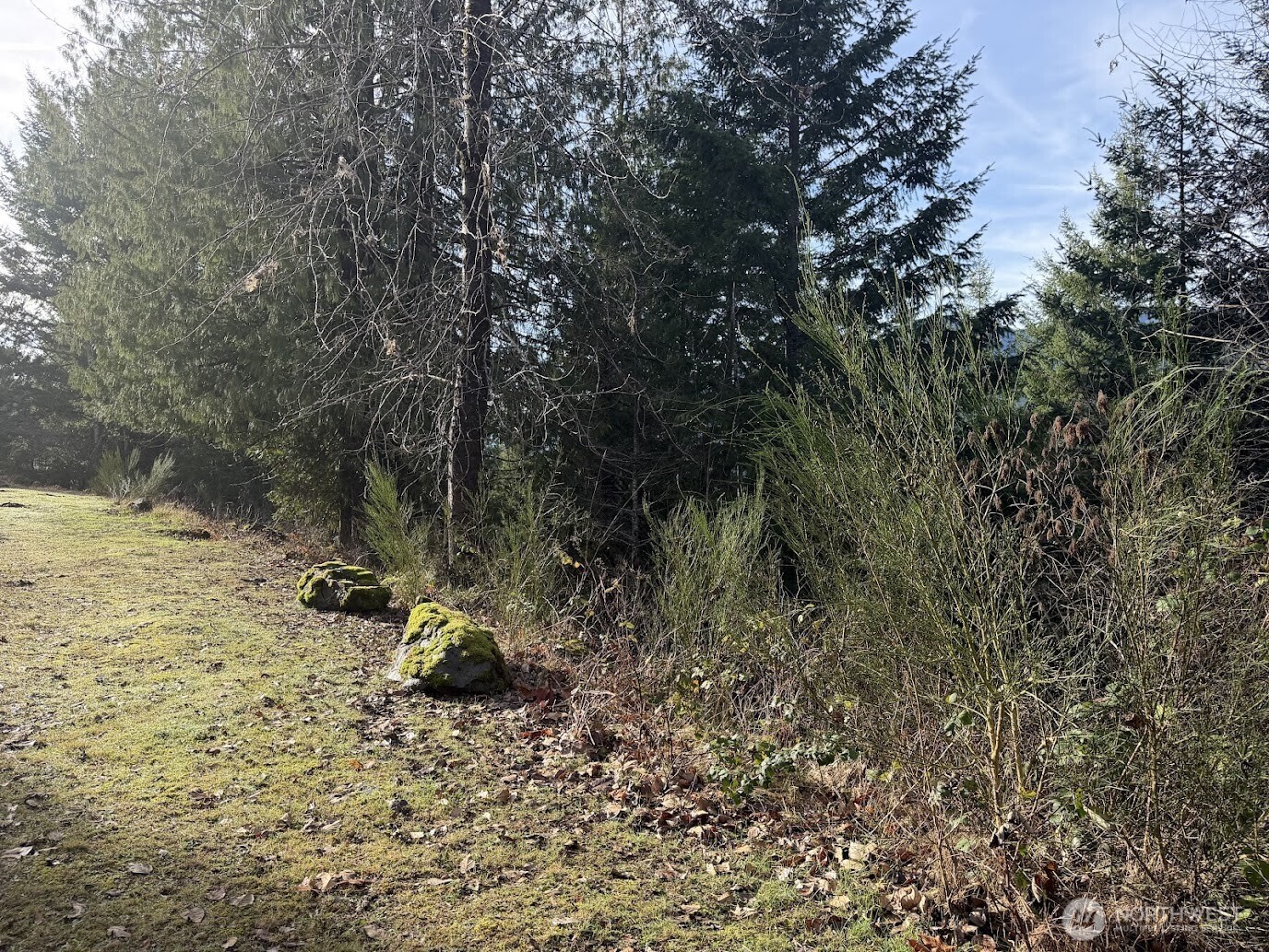 115 Ridge Lane Packwood, WA 98361 - Photo 17 of 26