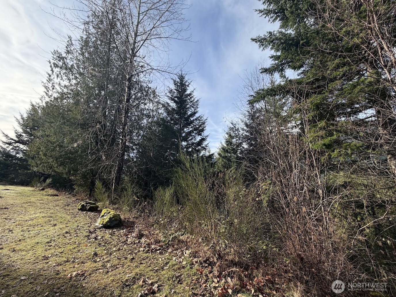 115 Ridge Lane Packwood, WA 98361 - Photo 18 of 26