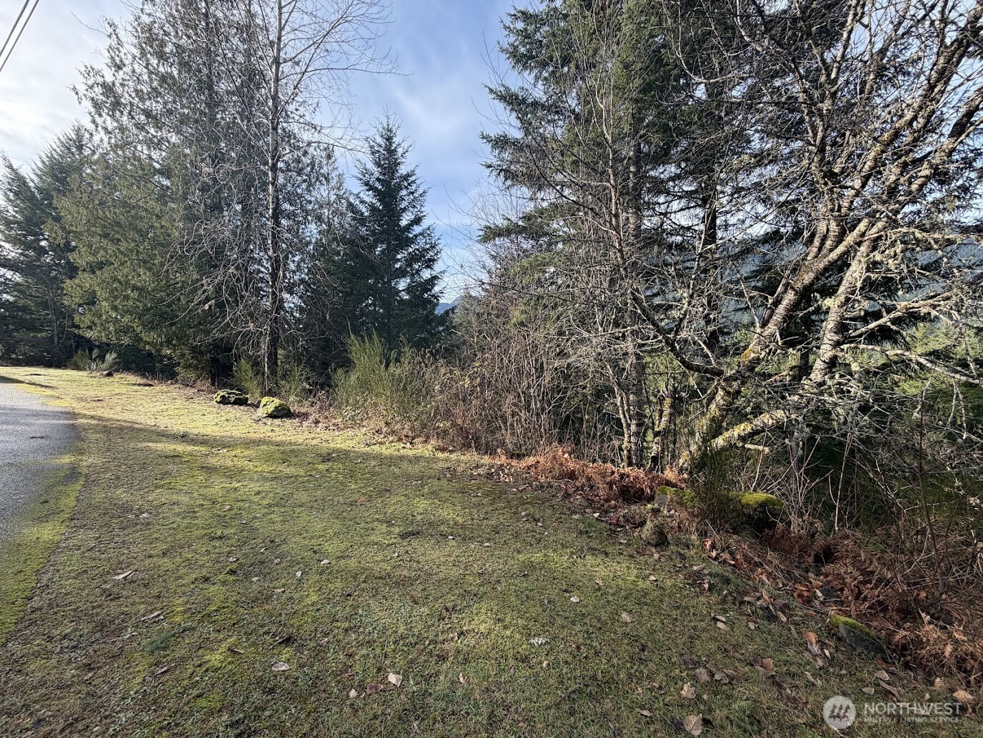 115 Ridge Lane Packwood, WA 98361 - Photo 19 of 26