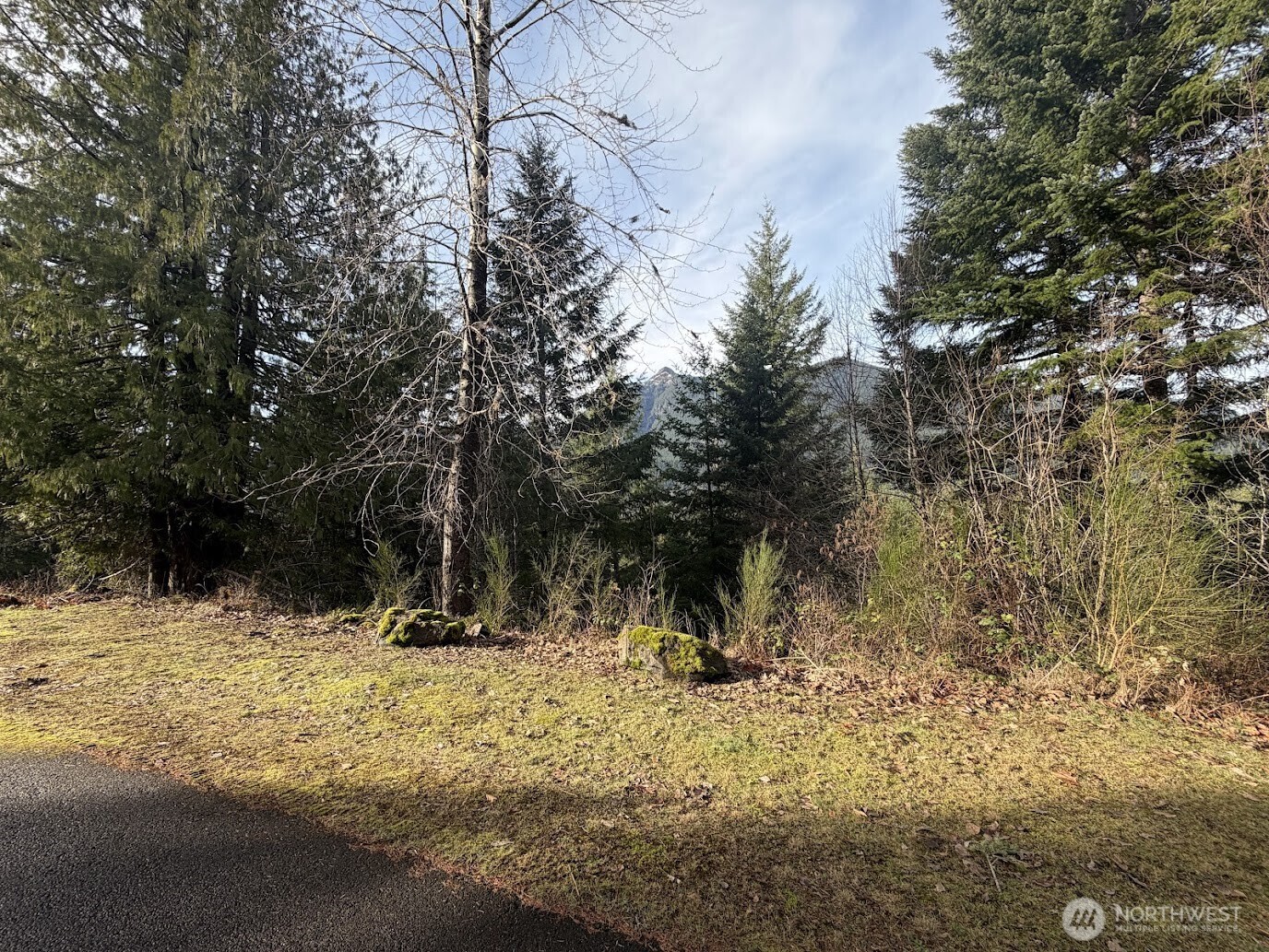 115 Ridge Lane Packwood, WA 98361 - Photo 20 of 26