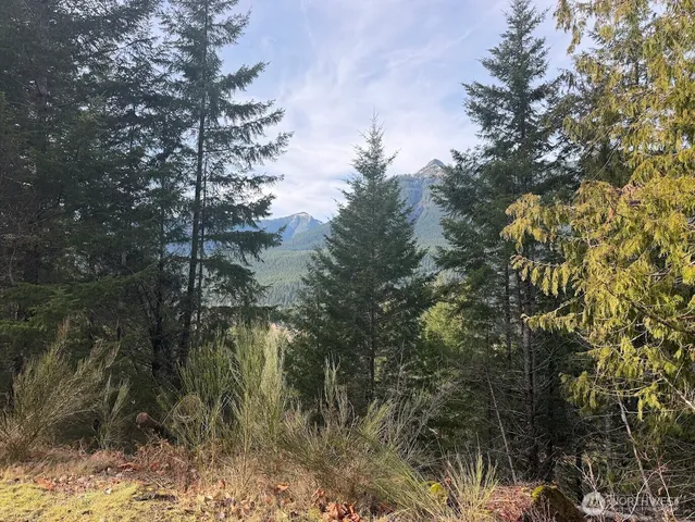 $215,000 | 115 Ridge Lane, Packwood, WA 98361