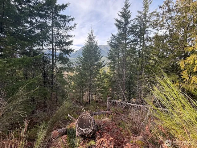 $215,000 | 115 Ridge Lane, Packwood, WA 98361