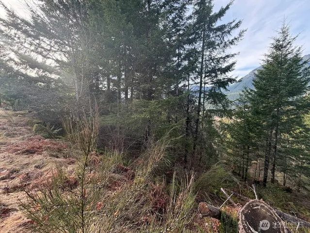 $215,000 | 115 Ridge Lane, Packwood, WA 98361